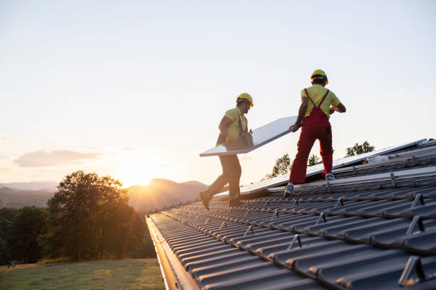 Best Roof Leak Repair  in Fox River Grove, IL