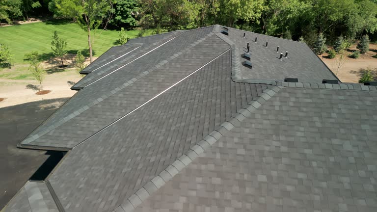 Best Rubber Roofing (EPDM, TPO)  in Fox River Grove, IL