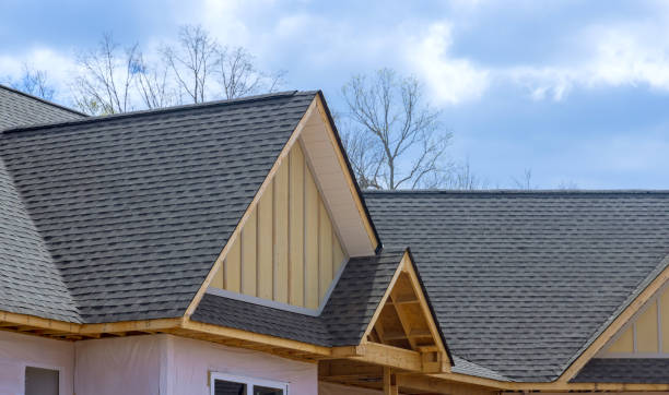 Best Solar Panel Roofing Installation  in Fox River Grove, IL