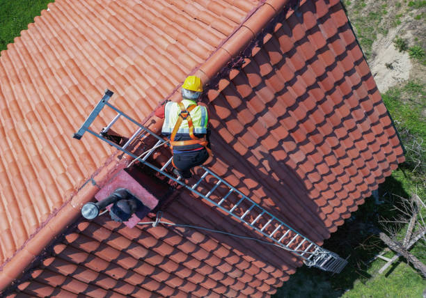 Best Flat Roofing  in Fox River Grove, IL