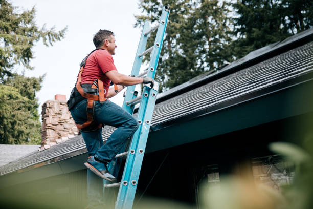 Best Rubber Roofing (EPDM, TPO)  in Fox River Grove, IL